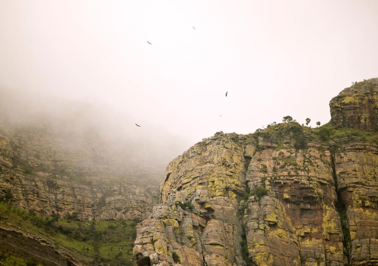 Cape Vulture Conservancy Hoedspruit Exteriör bild