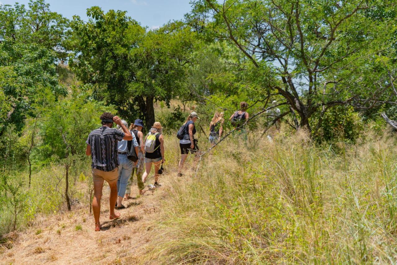 Cape Vulture Conservancy Hoedspruit Exteriör bild