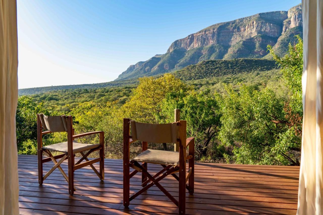 Cape Vulture Conservancy Hoedspruit Exteriör bild